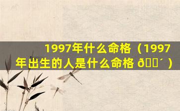 1997年什么命格（1997年出生的人是什么命格 🌴 ）